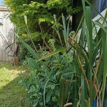 Charmante Maisonnette Ferienhaus *