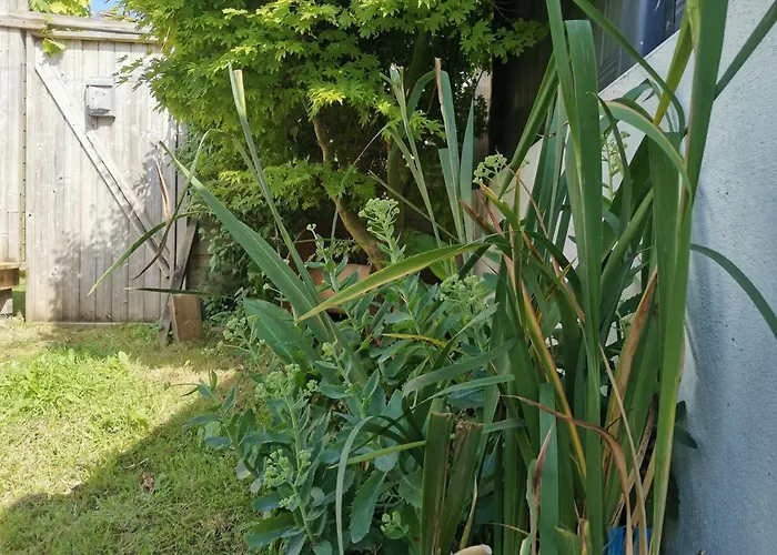 Charmante Maisonnette Hébergement de vacances *