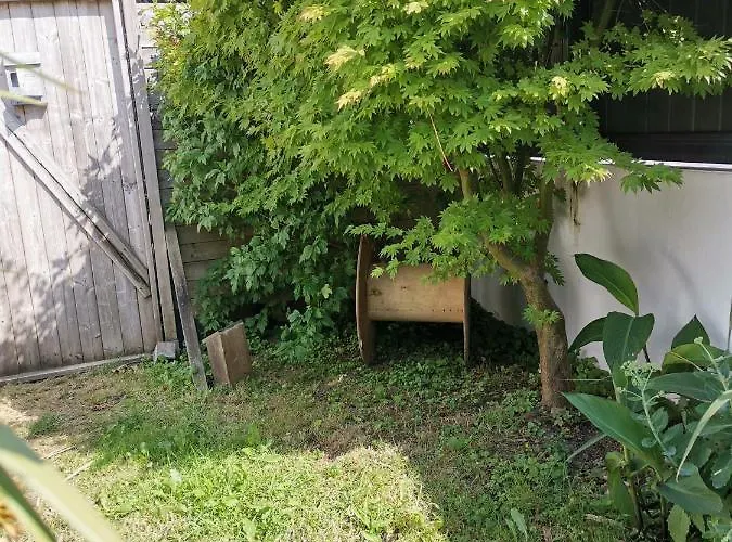 Hébergement de vacances Charmante Maisonnette