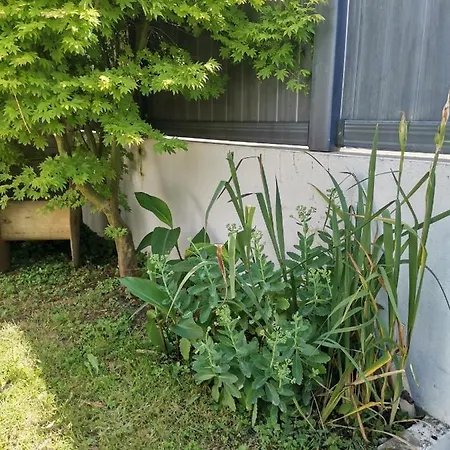 Casa de Férias Charmante Maisonnette